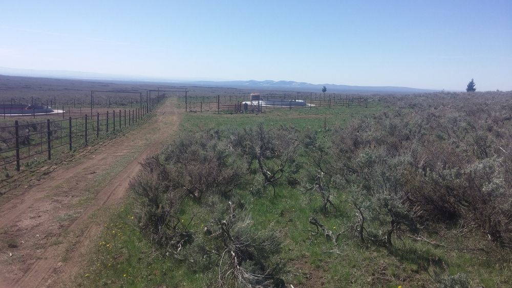 26,000 Acres, Kilgore, ID 83446
